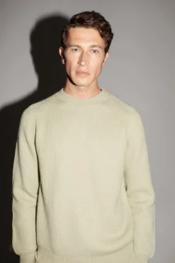Le pull de teinture naturel
